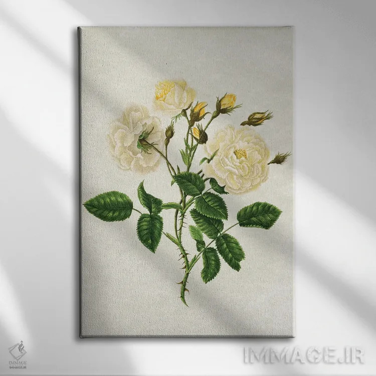 تابلو رزهای زرد قدیمی اثر امیلی وینتیج کو (برند/استودیو) - نمای روبهرو روی دیوار