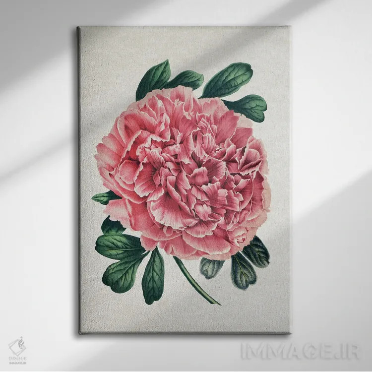 تابلو گل صدتومانی قدیمی اثر امیلی وینتیج کو (برند/استودیو) - نمای روبهرو روی دیوار