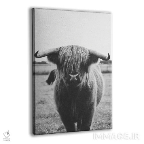 تابلو گاو کوهستانی اثر امیلی وینتیج کو (برند/استودیو) - نمای پرسپکتیو محصول