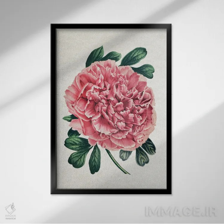 تابلو گل صدتومانی قدیمی اثر امیلی وینتیج کو (برند/استودیو) - نمای قابدار مشکی