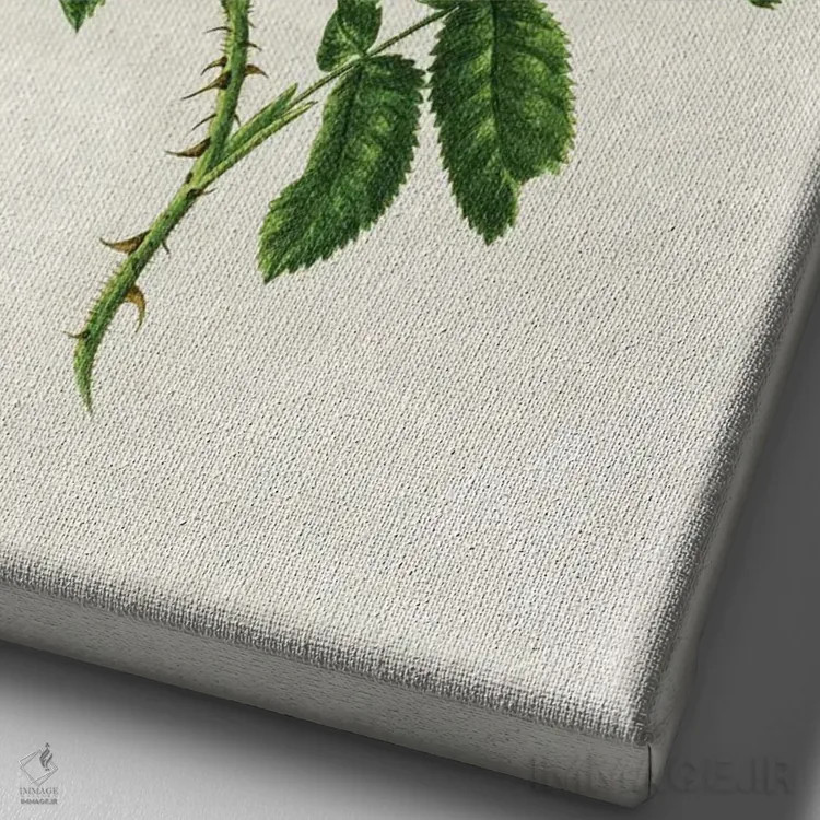 تابلو رزهای زرد قدیمی اثر امیلی وینتیج کو (برند/استودیو) - نمای نزدیک بافت بوم