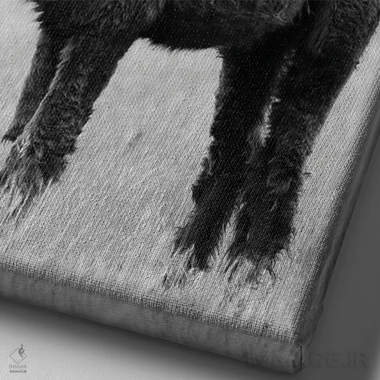 تابلو آلپاکای سیاه و سفید اثر امیلی وینتیج کو (برند/استودیو) - نمای نزدیک بافت بوم