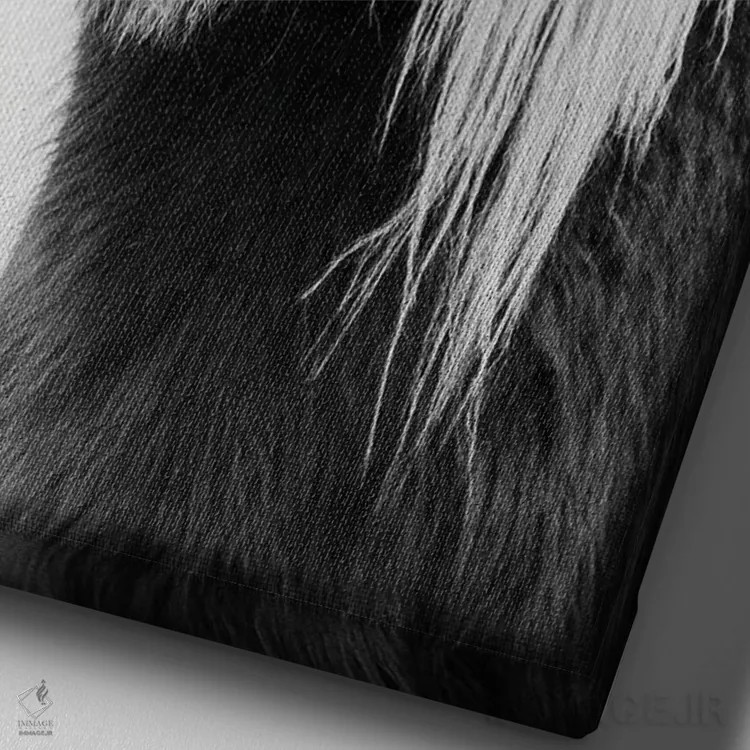 تابلو کره اسب وحشی اثر امیلی وینتیج کو (برند/استودیو) - نمای نزدیک بافت بوم