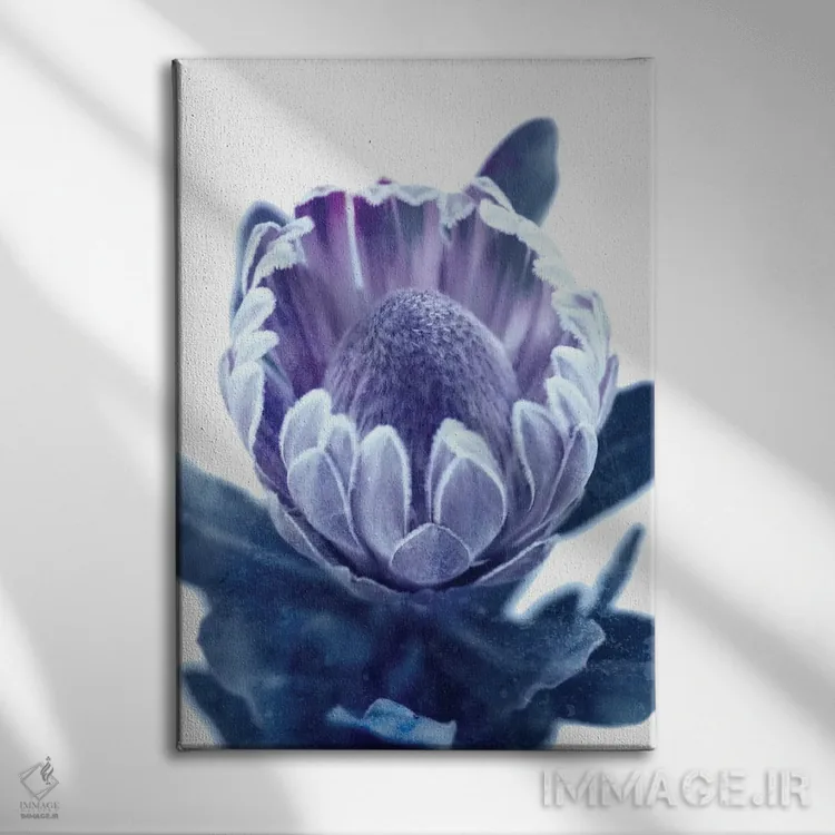 تابلو پروتئای آبی II اثر امیلی وینتیج کو (برند/استودیو) - نمای روبهرو روی دیوار