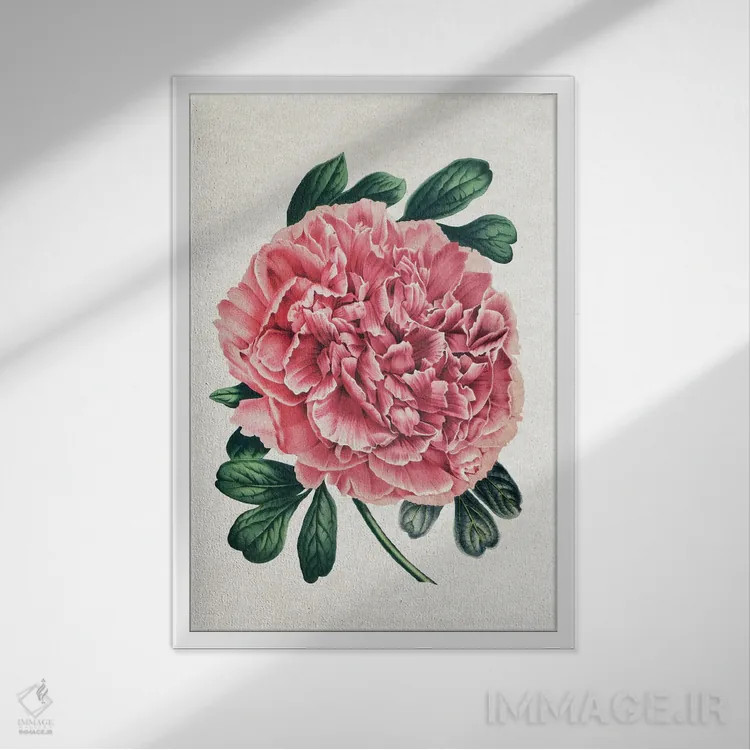 تابلو گل صدتومانی قدیمی اثر امیلی وینتیج کو (برند/استودیو) - نمای قابدار سفید