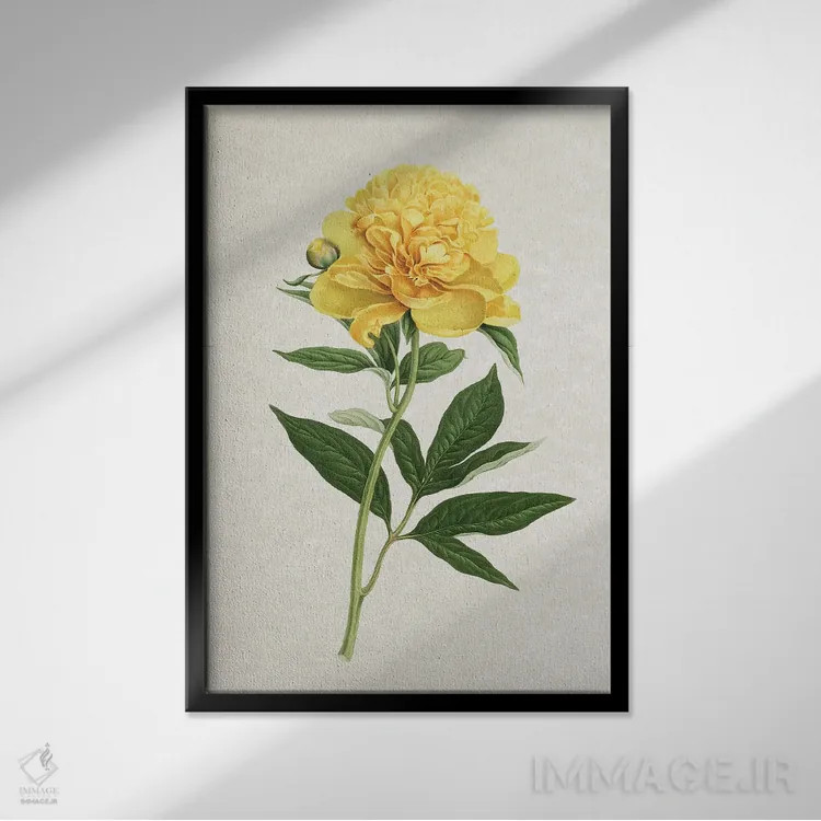 تابلو رز زرد قدیمی اثر امیلی وینتیج کو (برند/استودیو) - نمای قابدار مشکی