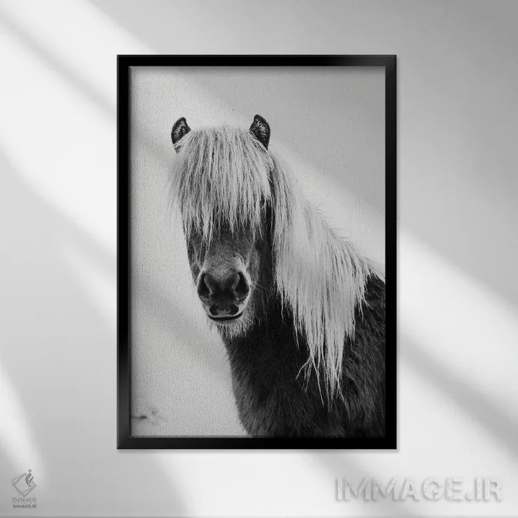 تابلو کره اسب وحشی اثر امیلی وینتیج کو (برند/استودیو) - نمای قابدار مشکی