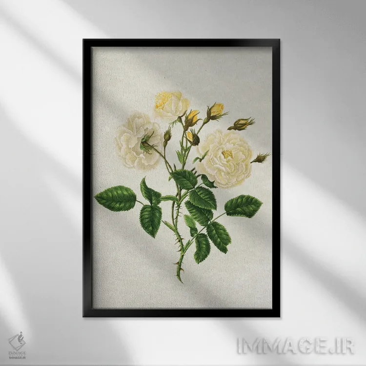 تابلو رزهای زرد قدیمی اثر امیلی وینتیج کو (برند/استودیو) - نمای قابدار مشکی