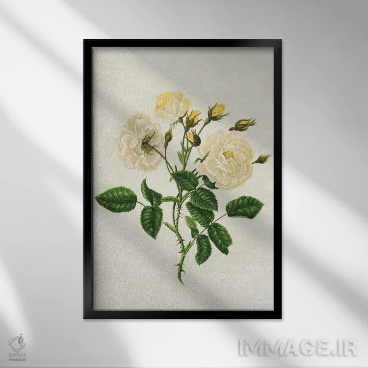 تابلو رزهای زرد قدیمی اثر امیلی وینتیج کو (برند/استودیو) - نمای قابدار مشکی