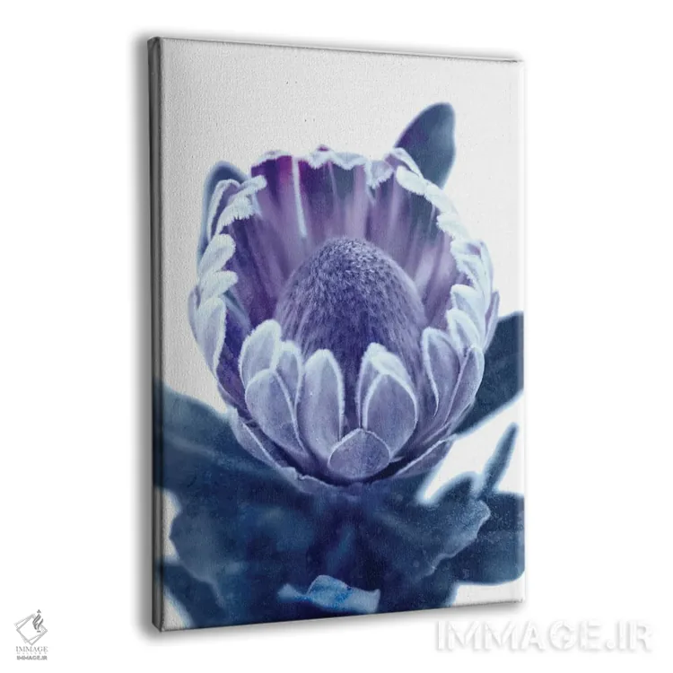 تابلو پروتئای آبی II اثر امیلی وینتیج کو (برند/استودیو) - نمای پرسپکتیو محصول