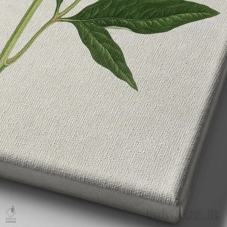 تابلو رز زرد قدیمی اثر امیلی وینتیج کو (برند/استودیو) - نمای نزدیک بافت بوم