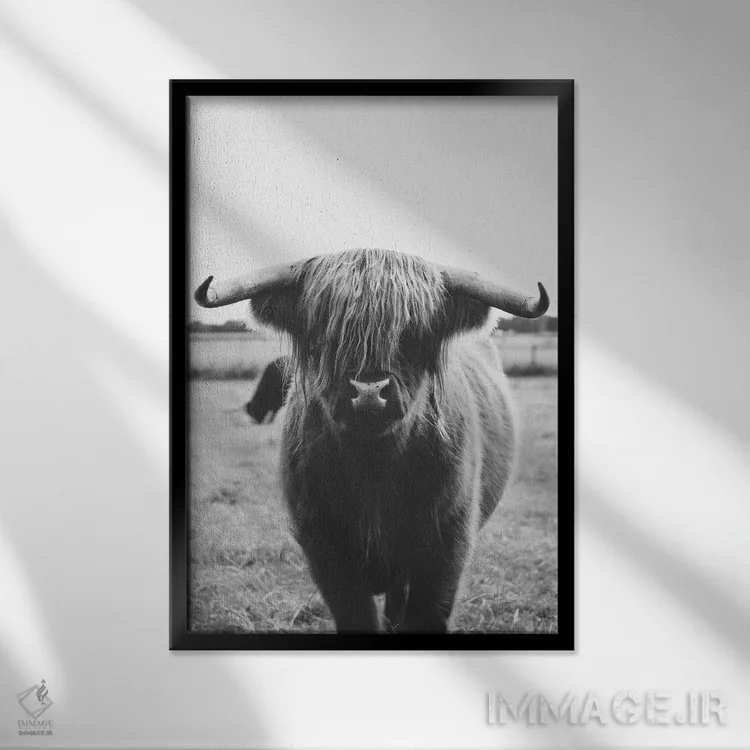 تابلو گاو کوهستانی اثر امیلی وینتیج کو (برند/استودیو) - نمای قابدار مشکی