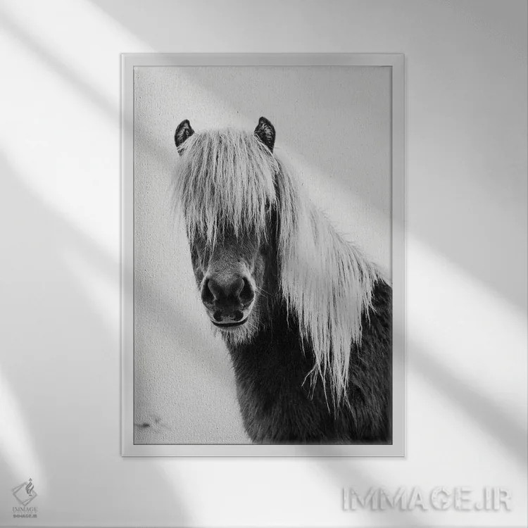 تابلو کره اسب وحشی اثر امیلی وینتیج کو (برند/استودیو) - نمای قابدار سفید