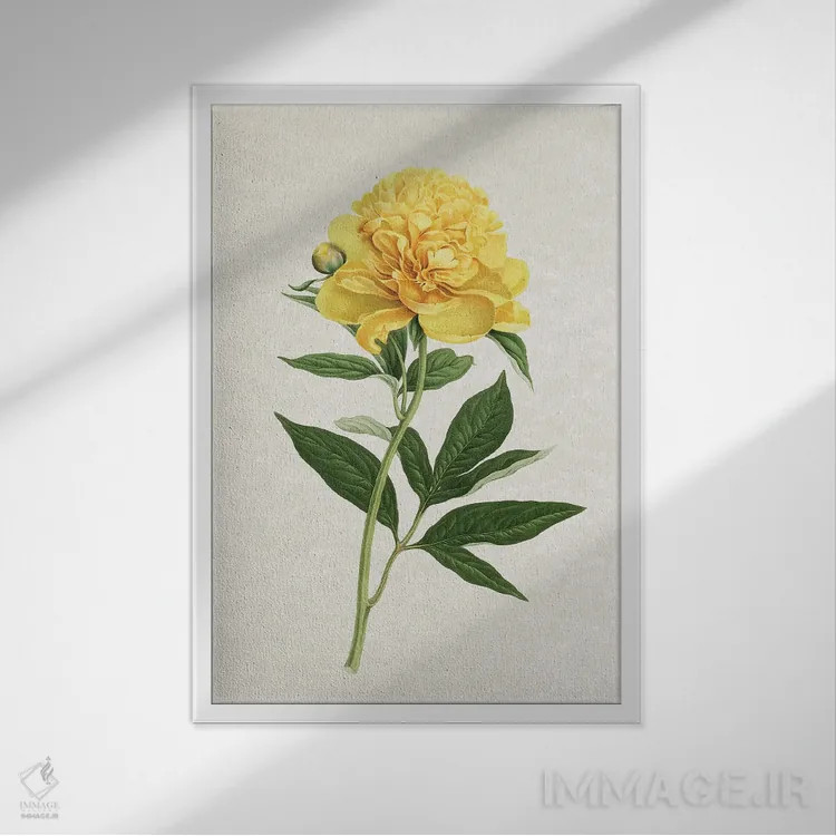 تابلو رز زرد قدیمی اثر امیلی وینتیج کو (برند/استودیو) - نمای قابدار سفید