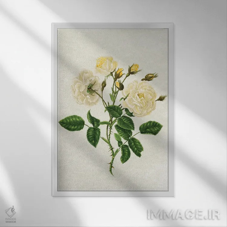تابلو رزهای زرد قدیمی اثر امیلی وینتیج کو (برند/استودیو) - نمای قابدار سفید