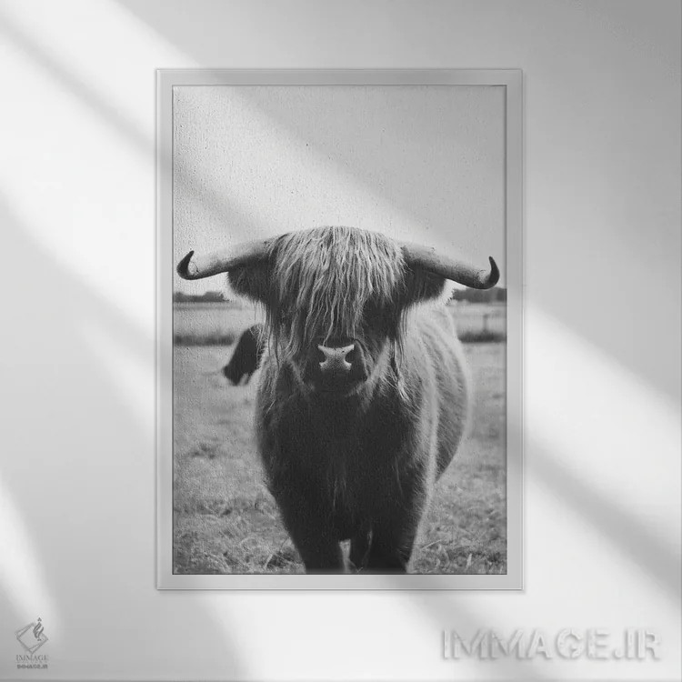 تابلو گاو کوهستانی اثر امیلی وینتیج کو (برند/استودیو) - نمای قابدار سفید