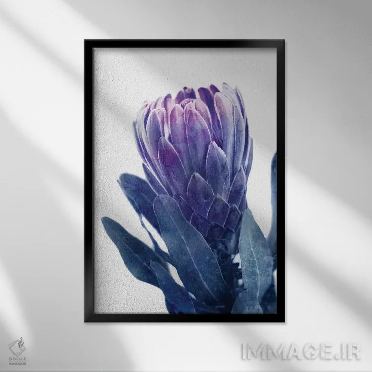 تابلو پروتئای آبی I اثر امیلی وینتیج کو (برند/استودیو) - نمای قابدار مشکی