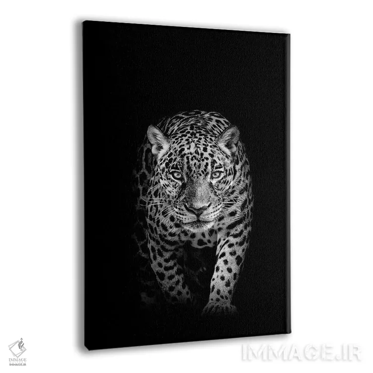 تابلو پلنگ در حال کمین (سیاه و سفید) اثر آدریان ویریو - نمای پرسپکتیو محصول