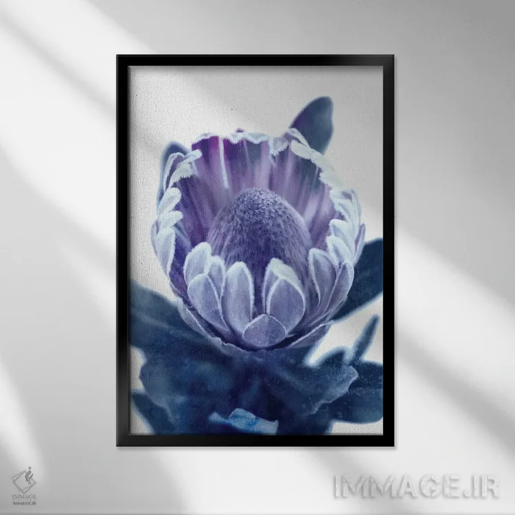 تابلو پروتئای آبی II اثر امیلی وینتیج کو (برند/استودیو) - نمای قابدار مشکی