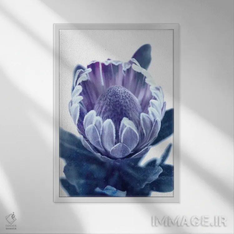 تابلو پروتئای آبی II اثر امیلی وینتیج کو (برند/استودیو) - نمای قابدار سفید