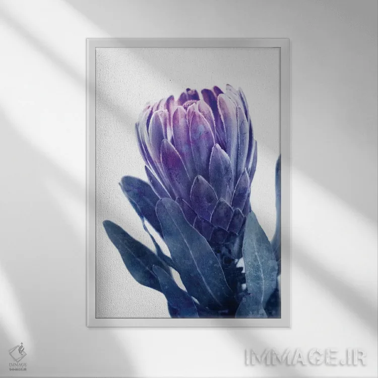 تابلو پروتئای آبی I اثر امیلی وینتیج کو (برند/استودیو) - نمای قابدار سفید