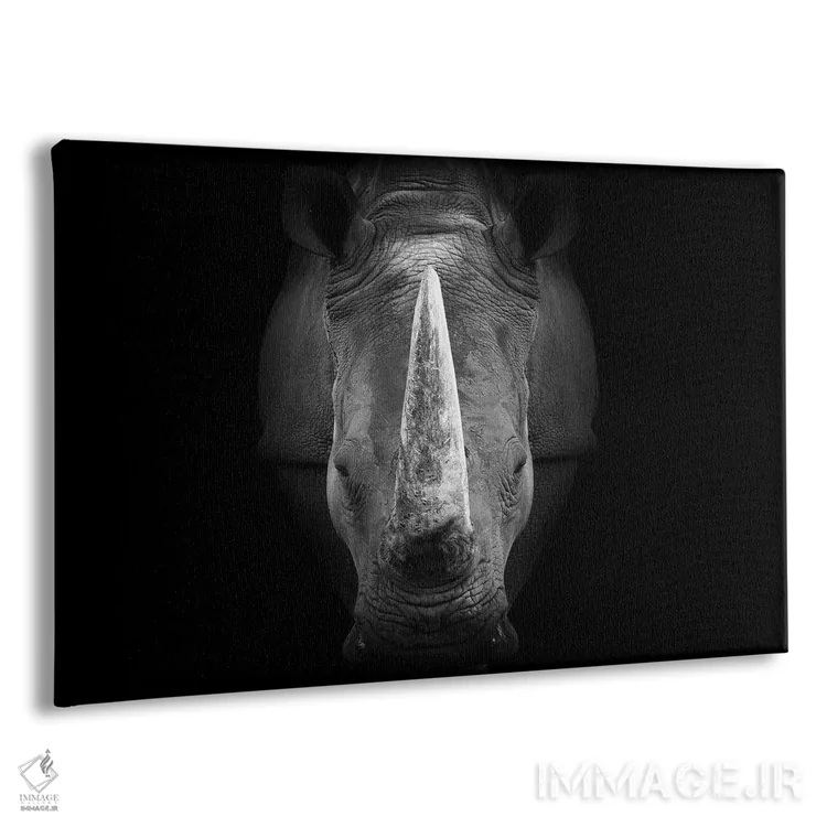 تابلو کرگدن با نگاه مستقیم (سیاه و سفید) اثر آدریان ویریو - نمای پرسپکتیو محصول