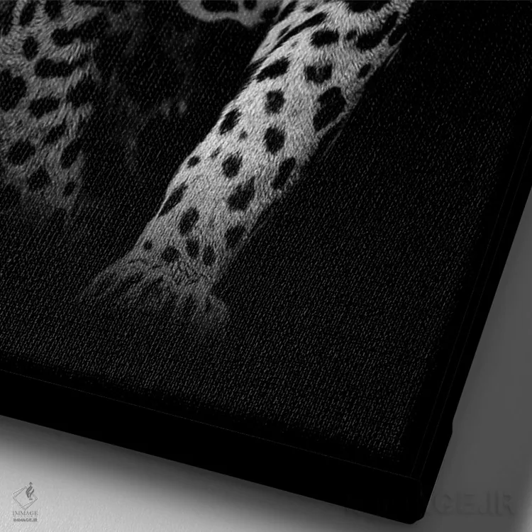 تابلو پلنگ در حال کمین (سیاه و سفید) اثر آدریان ویریو - نمای نزدیک بافت بوم