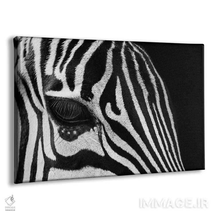 تابلو چشم گورخر (سیاه و سفید) اثر آدریان ویریو - نمای پرسپکتیو محصول