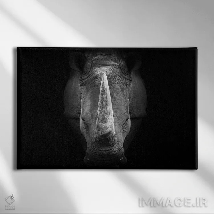 تابلو کرگدن با نگاه مستقیم (سیاه و سفید) اثر آدریان ویریو - نمای روبهرو روی دیوار