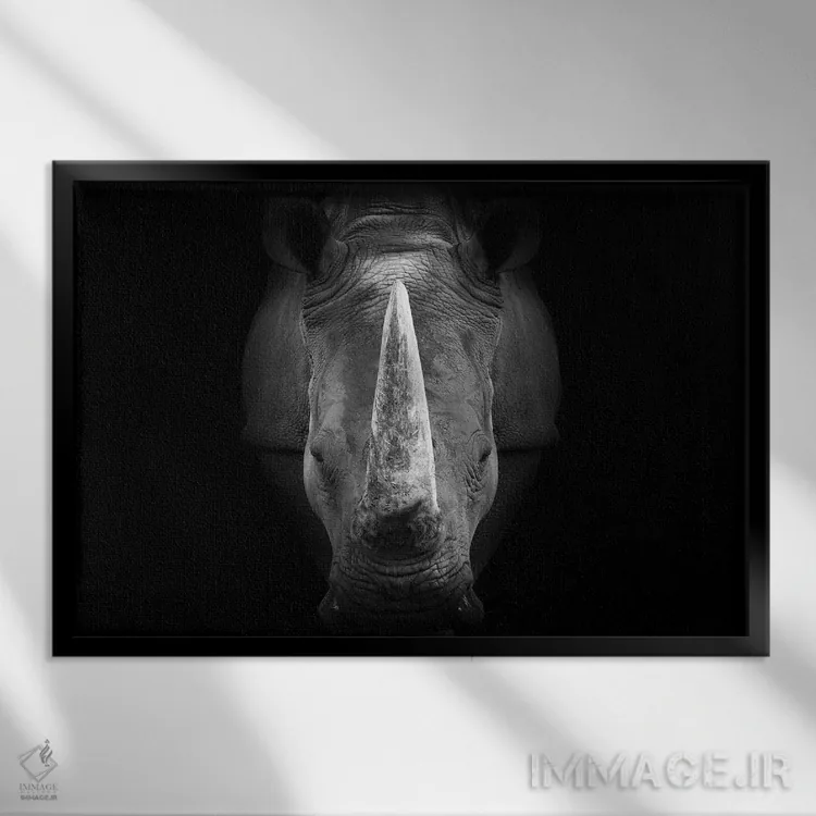 تابلو کرگدن با نگاه مستقیم (سیاه و سفید) اثر آدریان ویریو - نمای قابدار مشکی