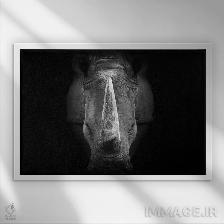 تابلو کرگدن با نگاه مستقیم (سیاه و سفید) اثر آدریان ویریو - نمای قابدار سفید