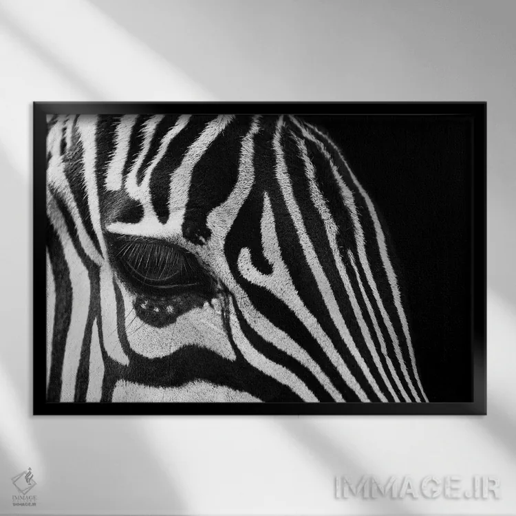 تابلو چشم گورخر (سیاه و سفید) اثر آدریان ویریو - نمای قابدار مشکی