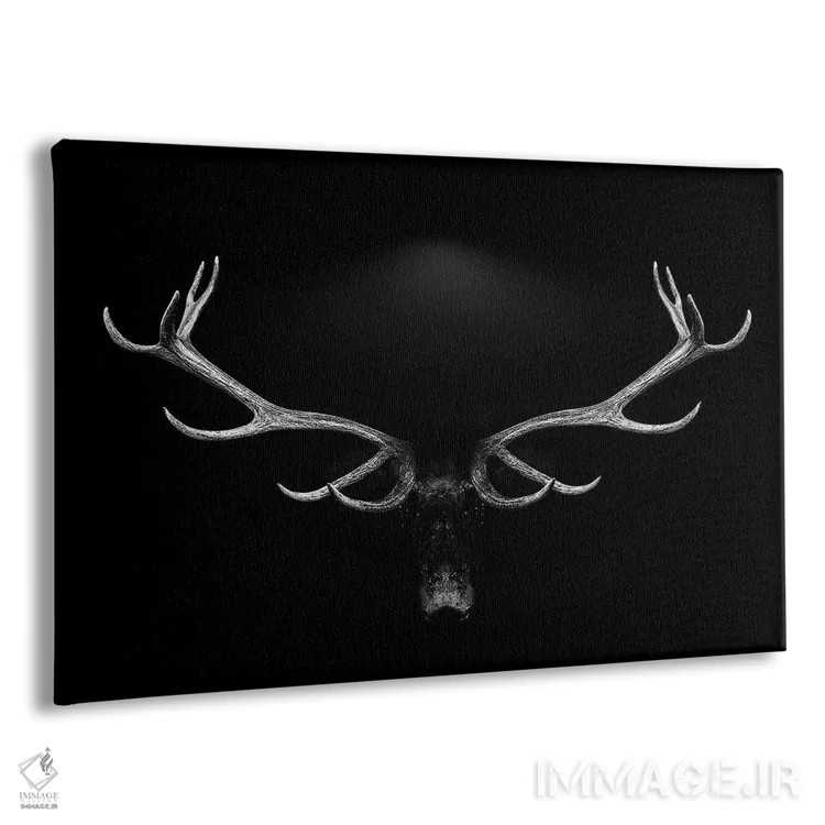 تابلو پرتره شاخهای گوزن روی پسزمینه سفید و سیاه اثر آدریان ویریو - نمای پرسپکتیو محصول