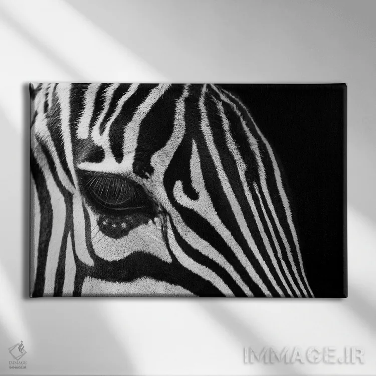 تابلو چشم گورخر (سیاه و سفید) اثر آدریان ویریو - نمای روبهرو روی دیوار