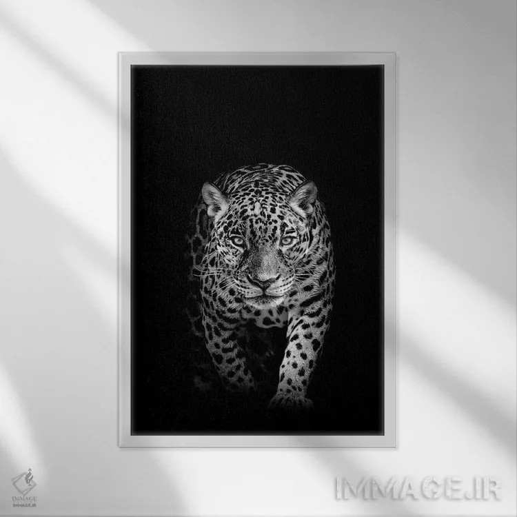 تابلو پلنگ در حال کمین (سیاه و سفید) اثر آدریان ویریو - نمای قابدار سفید