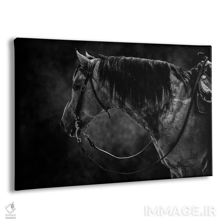 تابلو اسب سیاه و سفید اثر آدریان ویریو - نمای پرسپکتیو محصول
