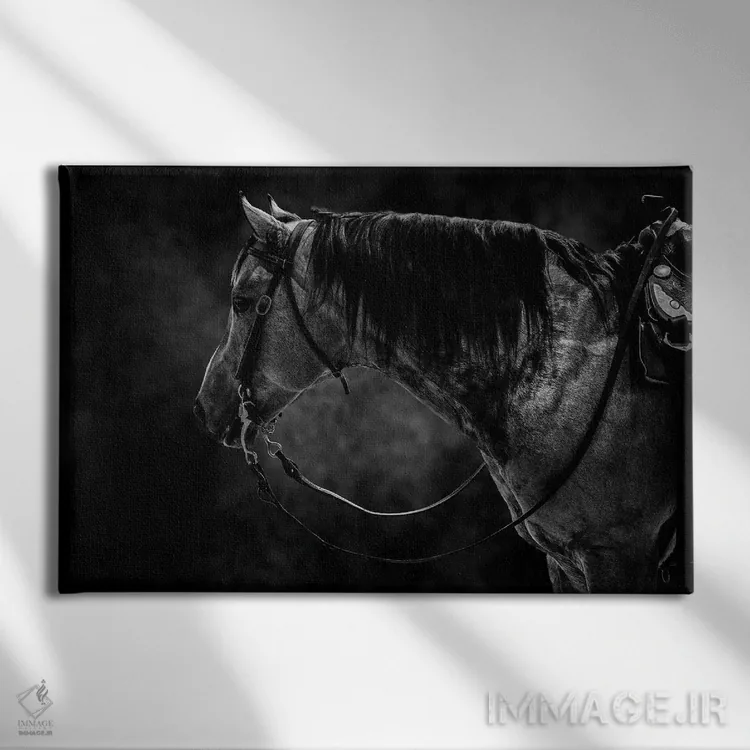 تابلو اسب سیاه و سفید اثر آدریان ویریو - نمای روبهرو روی دیوار