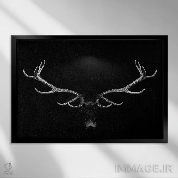 تابلو پرتره شاخهای گوزن روی پسزمینه سفید و سیاه اثر آدریان ویریو - نمای قابدار مشکی