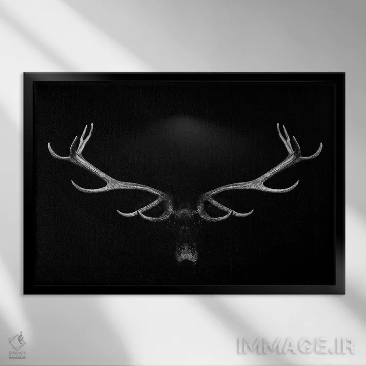 تابلو پرتره شاخهای گوزن روی پسزمینه سفید و سیاه اثر آدریان ویریو - نمای قابدار مشکی