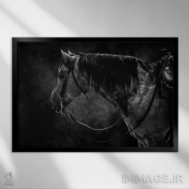تابلو اسب سیاه و سفید اثر آدریان ویریو - نمای قابدار مشکی