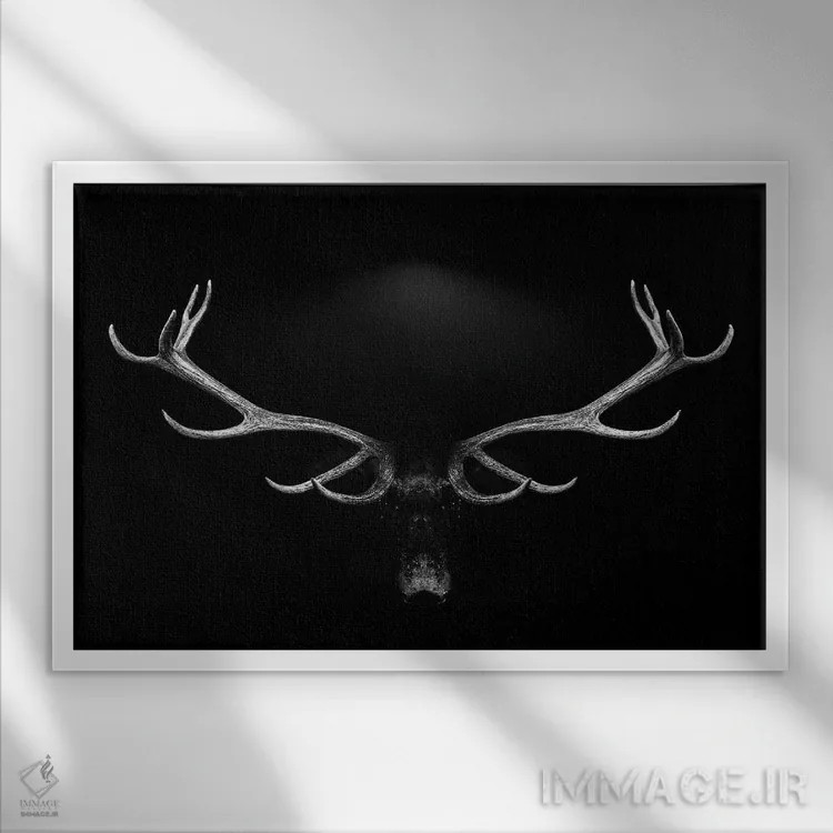 تابلو پرتره شاخهای گوزن روی پسزمینه سفید و سیاه اثر آدریان ویریو - نمای قابدار سفید