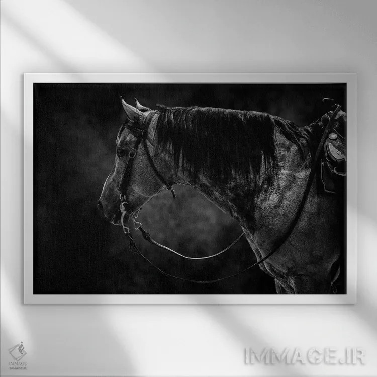 تابلو اسب سیاه و سفید اثر آدریان ویریو - نمای قابدار سفید