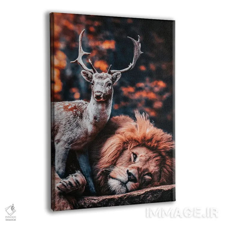 تابلو شیر دوست گوزن است اثر آدریان ویریو - نمای پرسپکتیو محصول