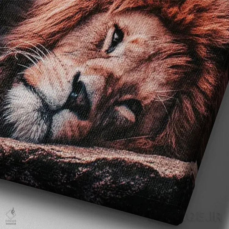 تابلو شیر دوست گوزن است اثر آدریان ویریو - نمای نزدیک بافت بوم