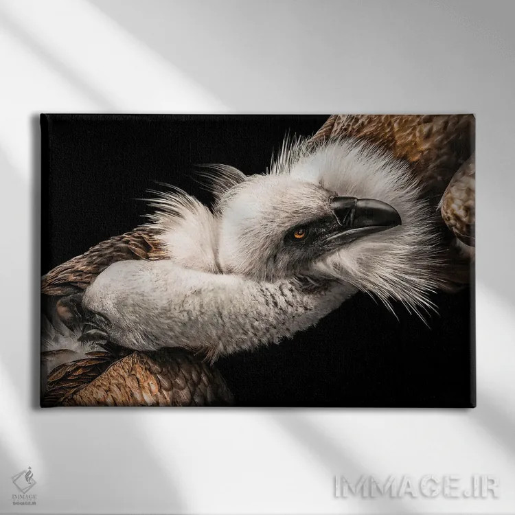 تابلو عشق میان عقابها اثر آدریان ویریو - نمای روبهرو روی دیوار