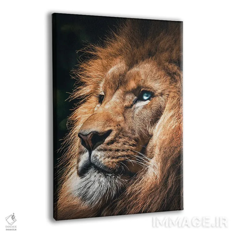 تابلو صورت شیر، سر حیوان اثر آدریان ویریو - نمای پرسپکتیو محصول
