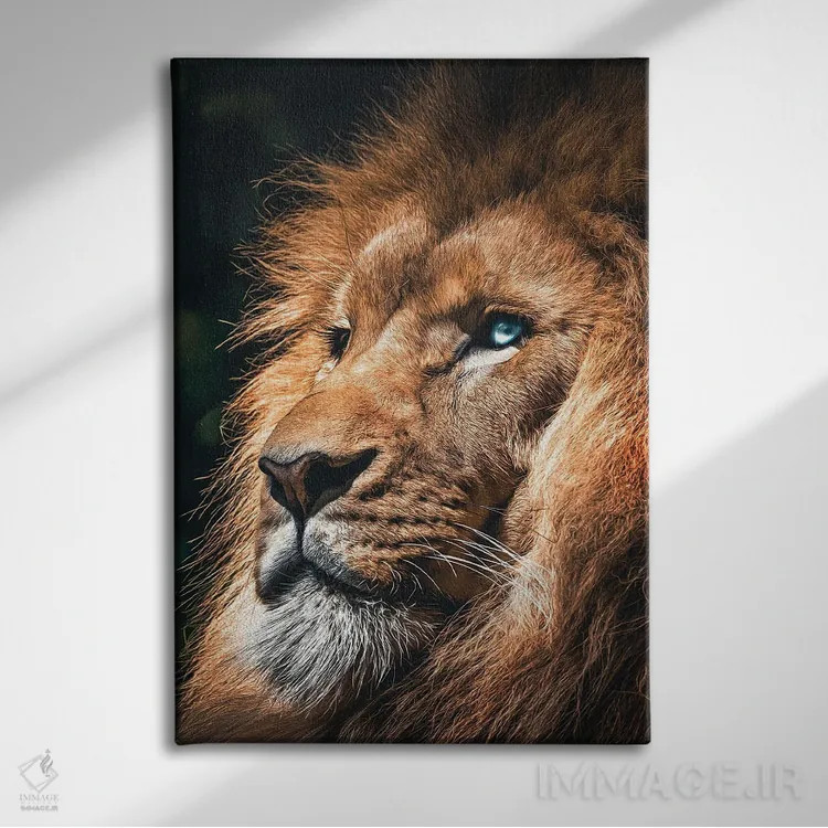 تابلو صورت شیر، سر حیوان اثر آدریان ویریو - نمای روبهرو روی دیوار