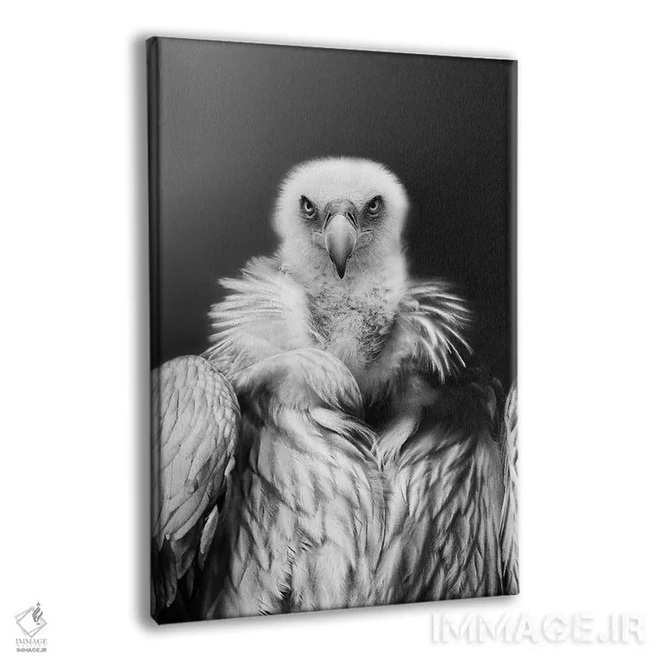 تابلو عقاب پادشاه اثر آدریان ویریو - نمای پرسپکتیو محصول