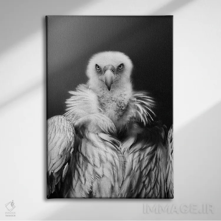 تابلو عقاب پادشاه اثر آدریان ویریو - نمای روبهرو روی دیوار