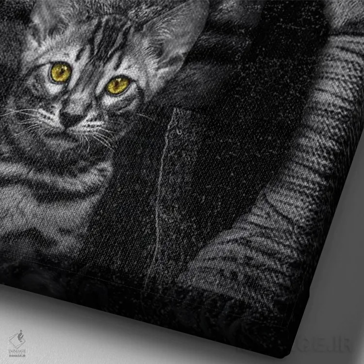 تابلو ذهنیت همهچیز است، ببر مبارز، متن انگیزشی اثر آدریان ویریو - نمای نزدیک بافت بوم